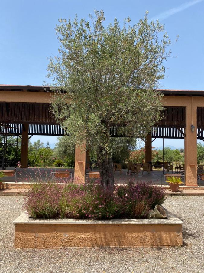 Foce del SeleAgriturismo Il Borghetto别墅 外观 照片